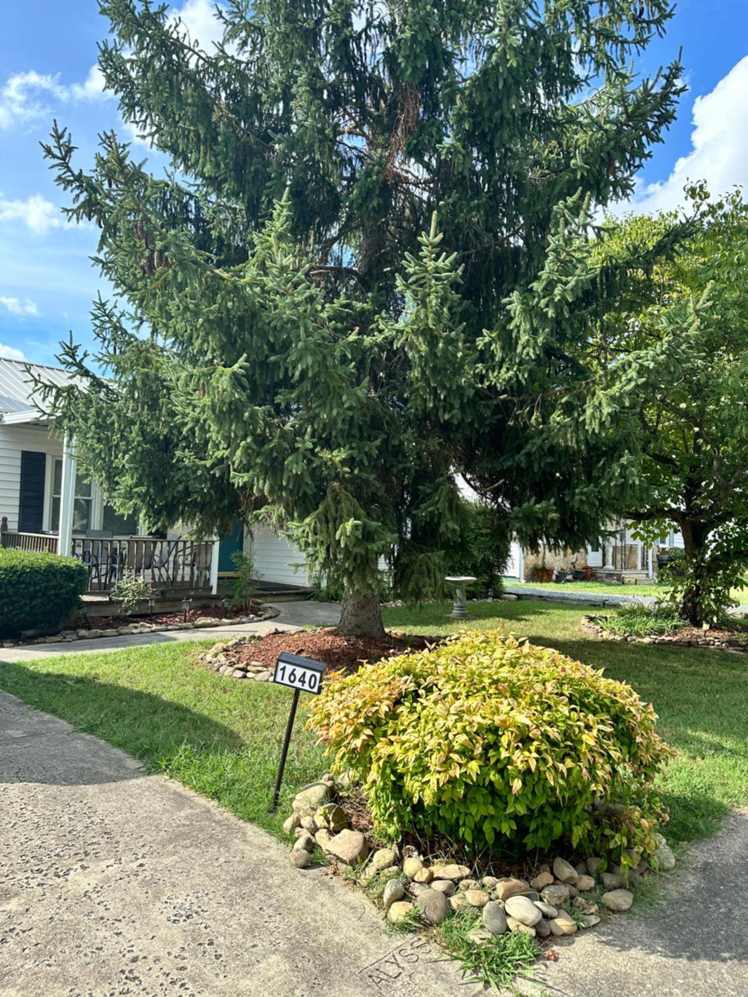 Home Away From Home Kingsport Exterior photo